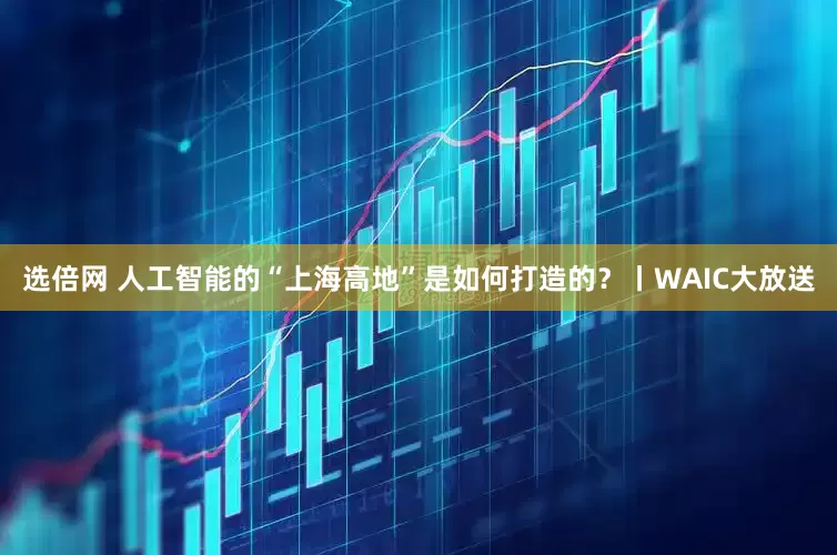选倍网 人工智能的“上海高地”是如何打造的?丨WAIC大放送